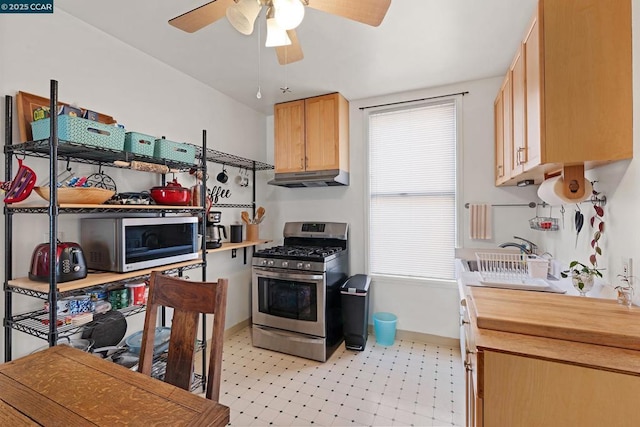 kitchen with sink, stainless steel appliances, and ceiling fan