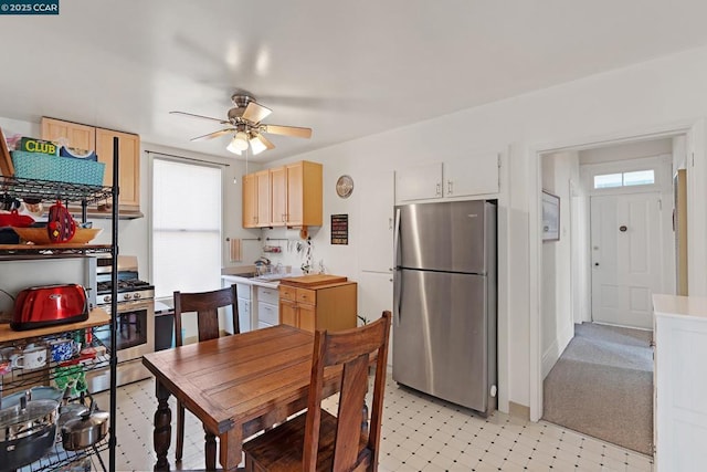 dining area with ceiling fan and a wealth of natural light