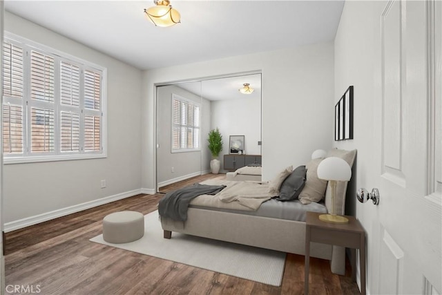 bedroom featuring wood-type flooring and multiple windows