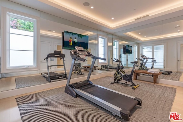 workout area featuring a raised ceiling and hardwood / wood-style floors