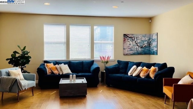 living room featuring light hardwood / wood-style floors