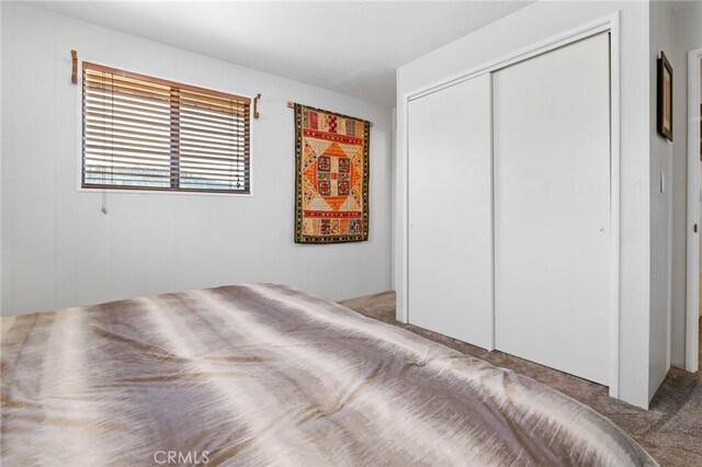 bedroom with a closet and light carpet