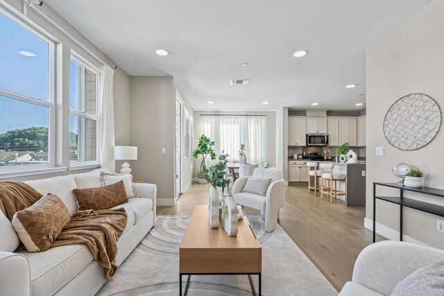 living room featuring light hardwood / wood-style flooring and a healthy amount of sunlight