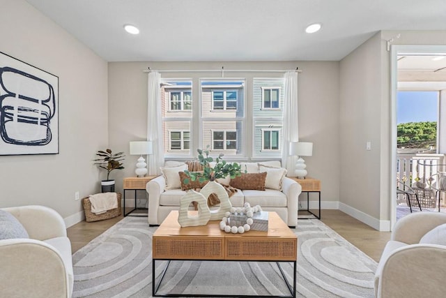 living room featuring light hardwood / wood-style floors