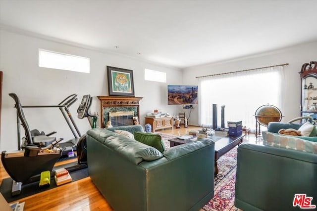 living room with wood-type flooring, a fireplace, a healthy amount of sunlight, and crown molding