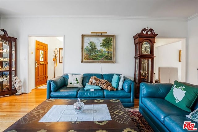 living room featuring hardwood / wood-style floors and ornamental molding