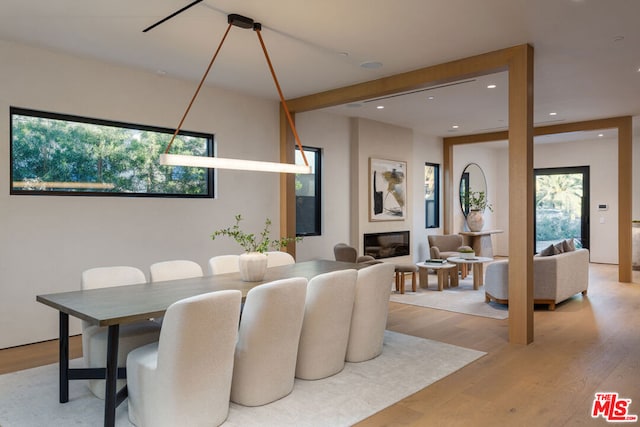 dining space featuring light hardwood / wood-style floors