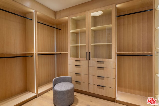 spacious closet featuring light hardwood / wood-style floors