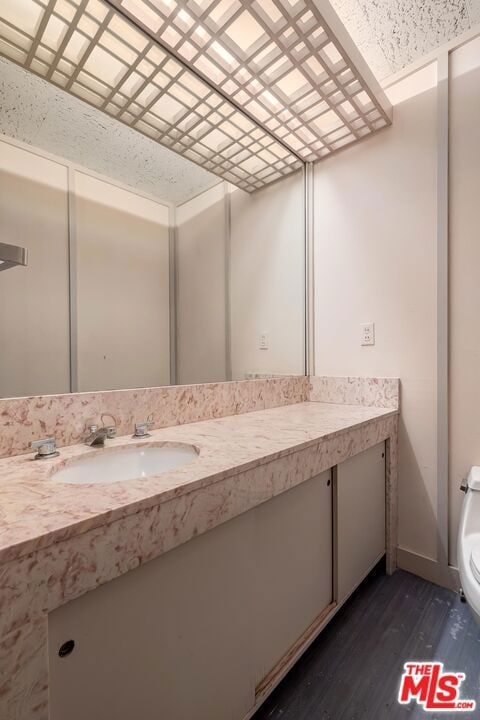 bathroom with toilet, vanity, and hardwood / wood-style flooring