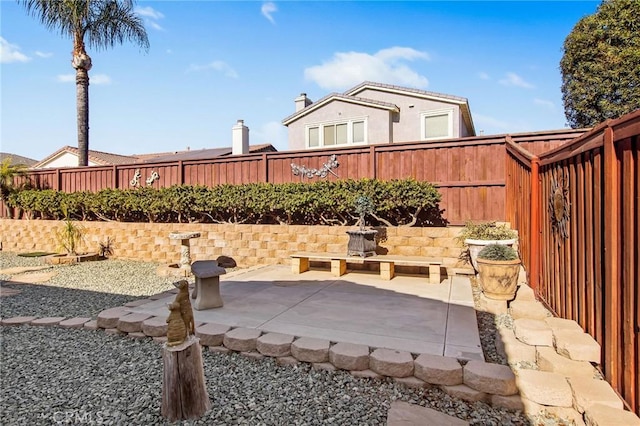 view of yard featuring a patio