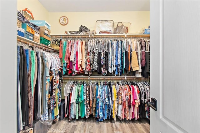 spacious closet with wood-type flooring