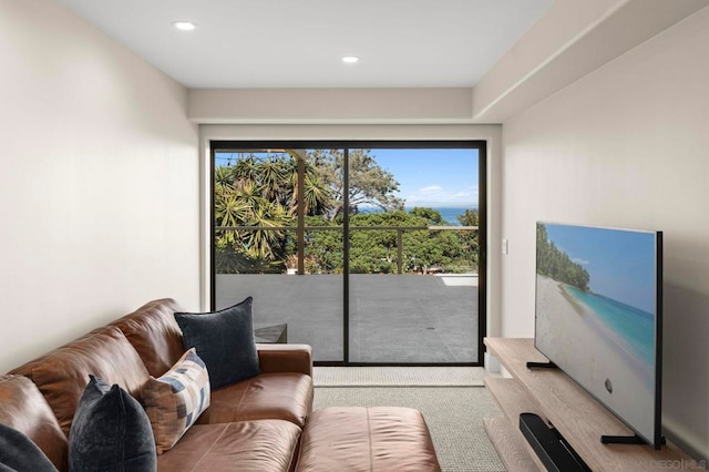 living room with a wealth of natural light and light carpet