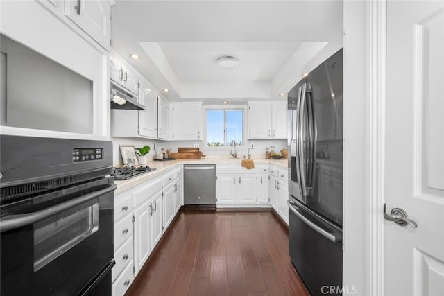 kitchen with appliances with stainless steel finishes, dark hardwood / wood-style flooring, a tray ceiling, white cabinets, and sink