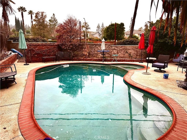 view of swimming pool featuring a patio area