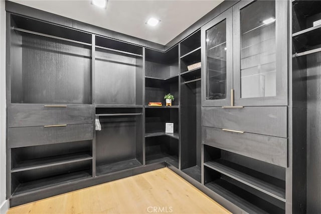 spacious closet featuring wood-type flooring