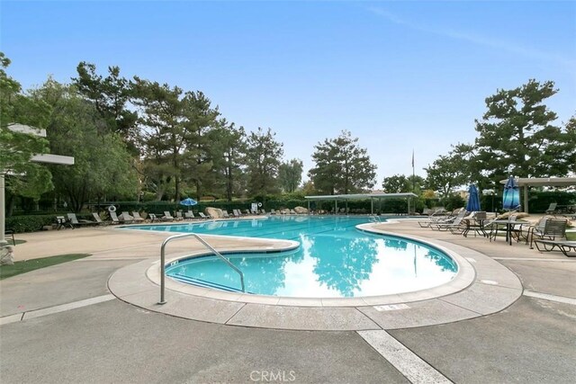 view of pool with a patio area