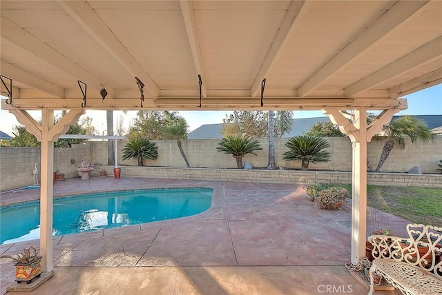 view of swimming pool with a patio