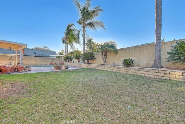 view of yard featuring a patio