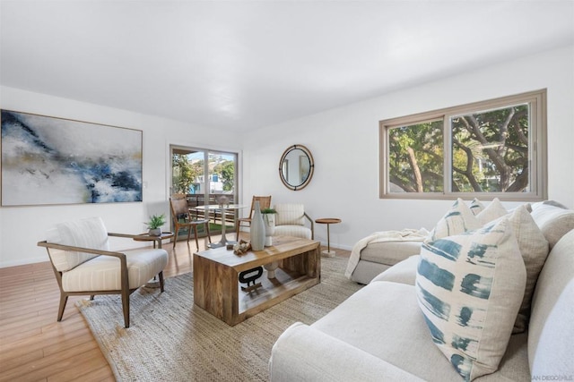 living room with light wood-type flooring and a wealth of natural light