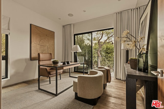 home office featuring light hardwood / wood-style floors and a healthy amount of sunlight