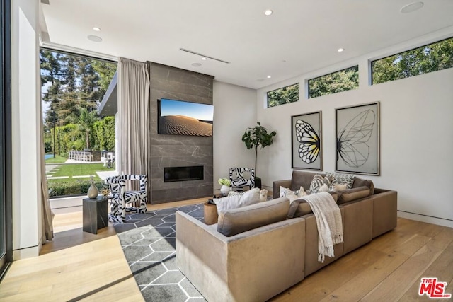 living room with hardwood / wood-style flooring and a premium fireplace