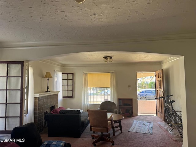 living room with carpet flooring, a textured ceiling, and crown molding