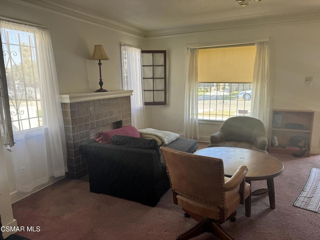 living area featuring crown molding and carpet