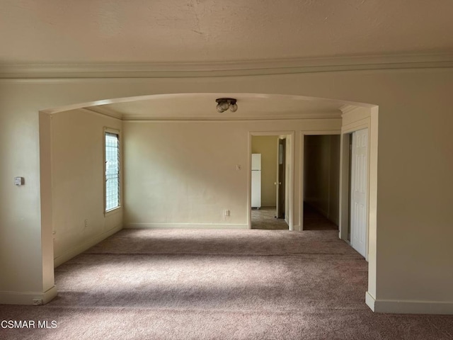 empty room featuring ornamental molding and carpet flooring