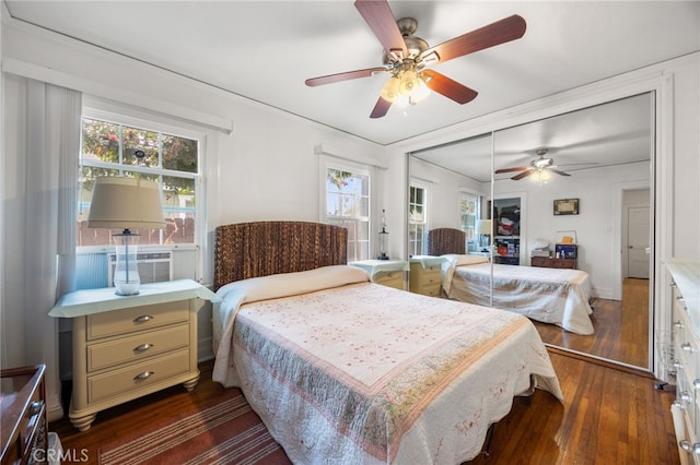 bedroom with multiple windows, a closet, ceiling fan, and dark hardwood / wood-style floors