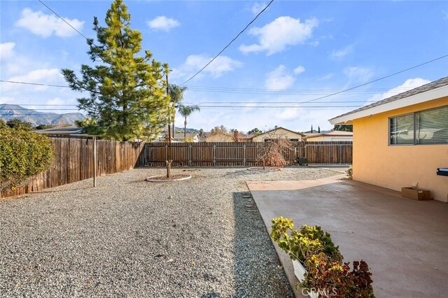 view of yard featuring a patio area