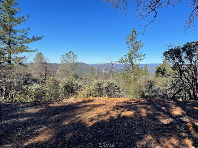 Listing photo 2 for 0 Bandit Ln, Oroville CA 95966