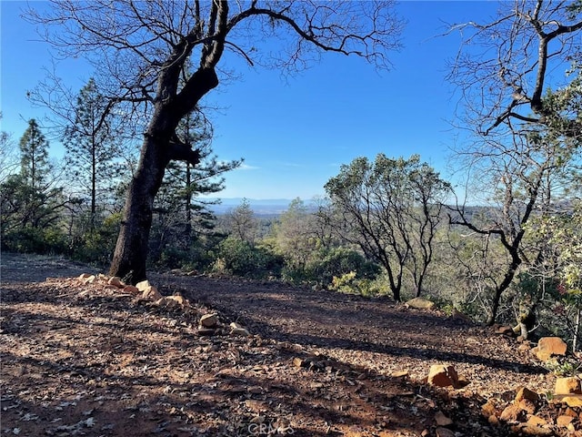 Listing photo 3 for 0 Bandit Ln, Oroville CA 95966