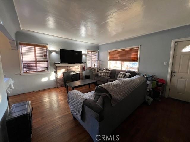 living room featuring dark wood-type flooring