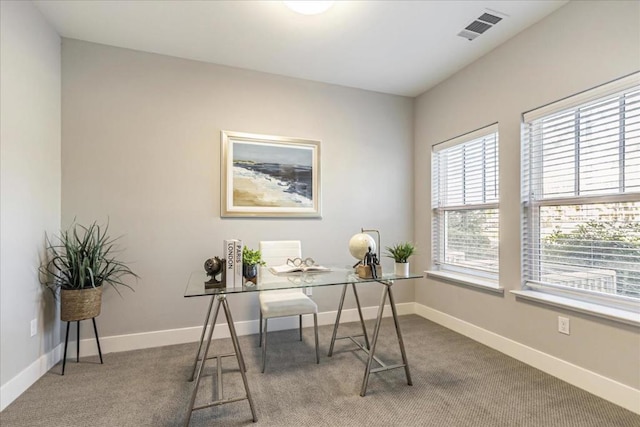 carpeted office space featuring a healthy amount of sunlight