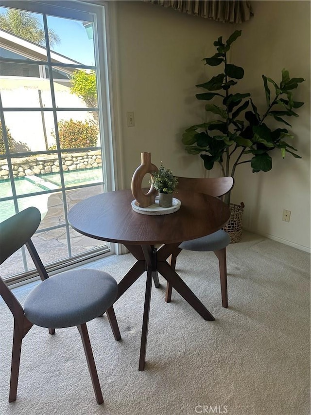 dining area featuring carpet