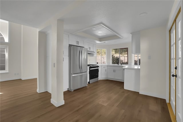 kitchen featuring dark hardwood / wood-style floors, stainless steel appliances, a tray ceiling, white cabinets, and sink