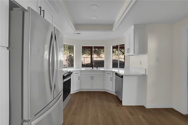 kitchen with hardwood / wood-style flooring, stainless steel appliances, a raised ceiling, white cabinets, and sink