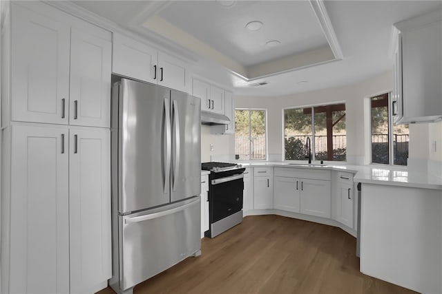 kitchen with sink, white cabinets, a tray ceiling, and appliances with stainless steel finishes