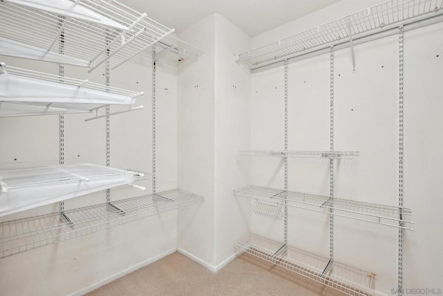 walk in closet featuring carpet floors