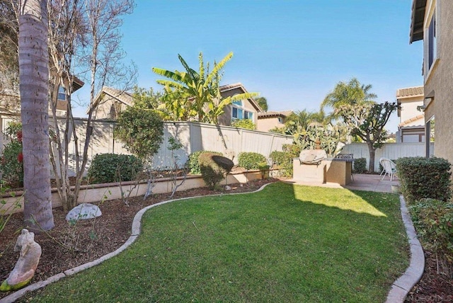 view of yard featuring a patio