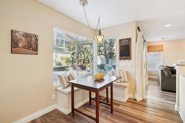 dining room with hardwood / wood-style floors