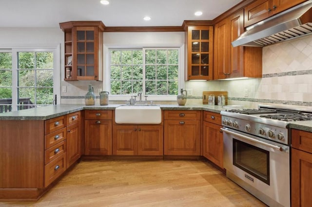 kitchen with light wood-type flooring, high end stainless steel range oven, a healthy amount of sunlight, sink, and exhaust hood