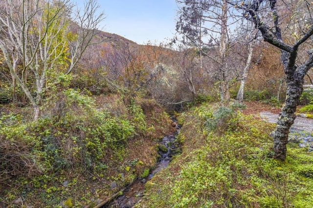 view of local wilderness with a mountain view