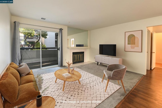 living room featuring wood-type flooring