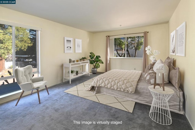 bedroom featuring carpet floors and multiple windows