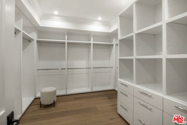 spacious closet with dark hardwood / wood-style floors