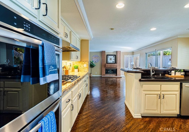 kitchen with white cabinets, stainless steel appliances, dark wood-type flooring, a fireplace, and sink