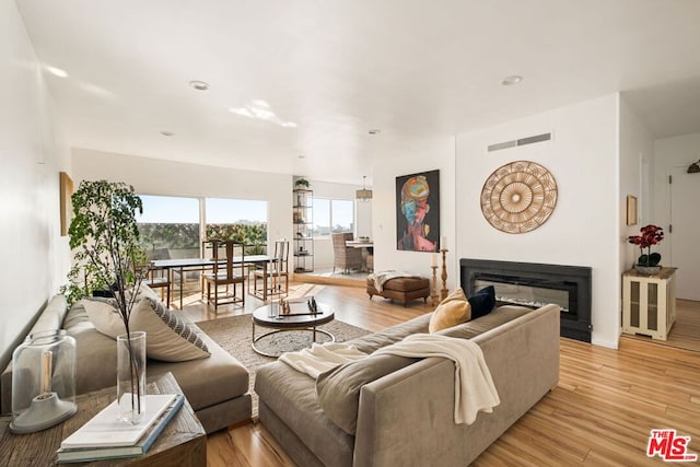 living room featuring light hardwood / wood-style floors