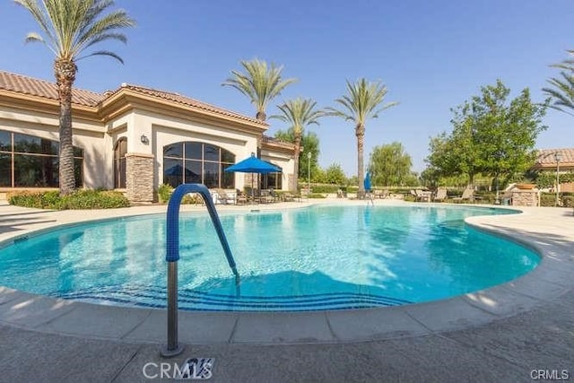 view of swimming pool featuring a patio