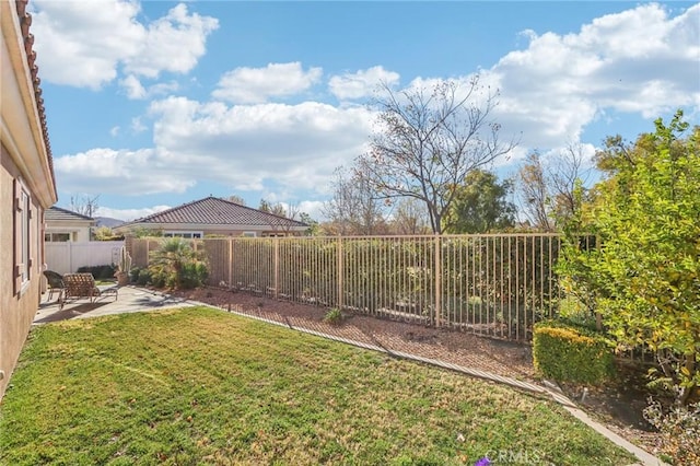 view of yard with a patio